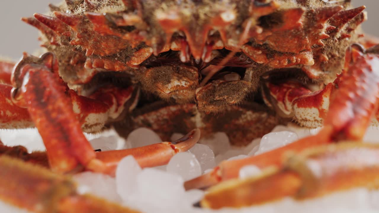 Close up of a fresh crab on ice