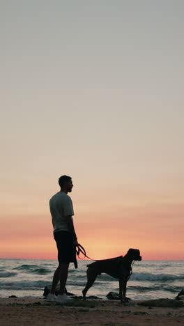 man and dog silhouettes at sunset on the beach