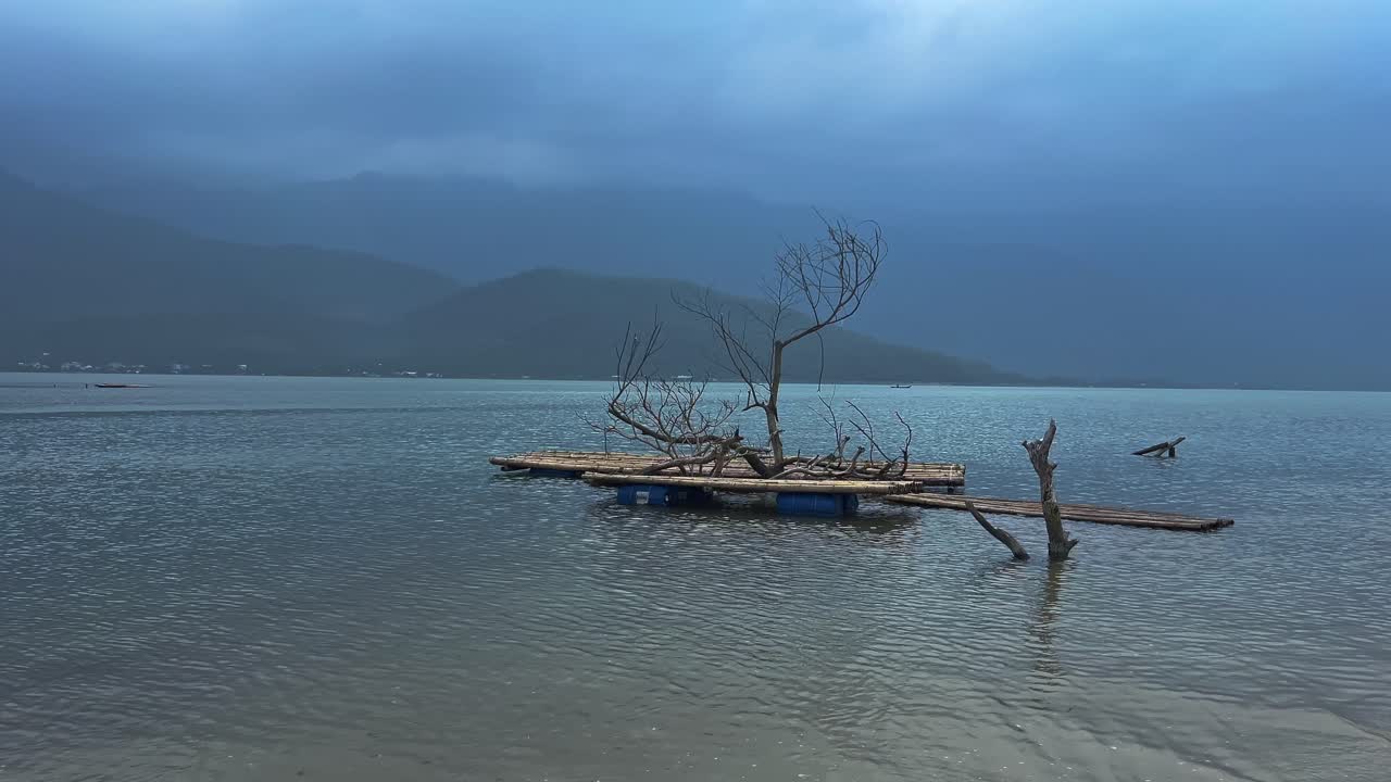 Calm Scene Of A Dried Tree In Park Pond. Panning Shot