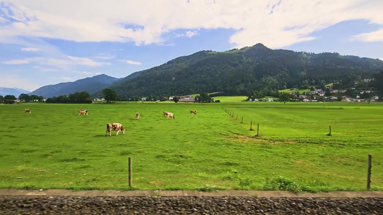 ฟุตเทจรถไฟทิวทัศน์สวยงามแล่นผ่านทุ่งหญ้า โรงนา ต้นไม้ และภูเขาที่มีป่าไม้ เก็บภาพจังหวะอันเงียบสงบของการเดินทางด้วยรถไฟผ่านชนบทแถบเทือกเขาแอลป์ในทิวทัศน์ชนบทอันเงียบสงบ