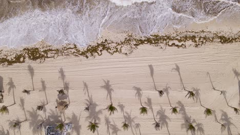 Top-View-Of-Beautiful-Tropical-Beach-In-Cancun,-Mexico-At-Summer