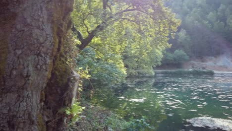 No-people-at-a-beautiful-river-spring-in-Greece,-panning