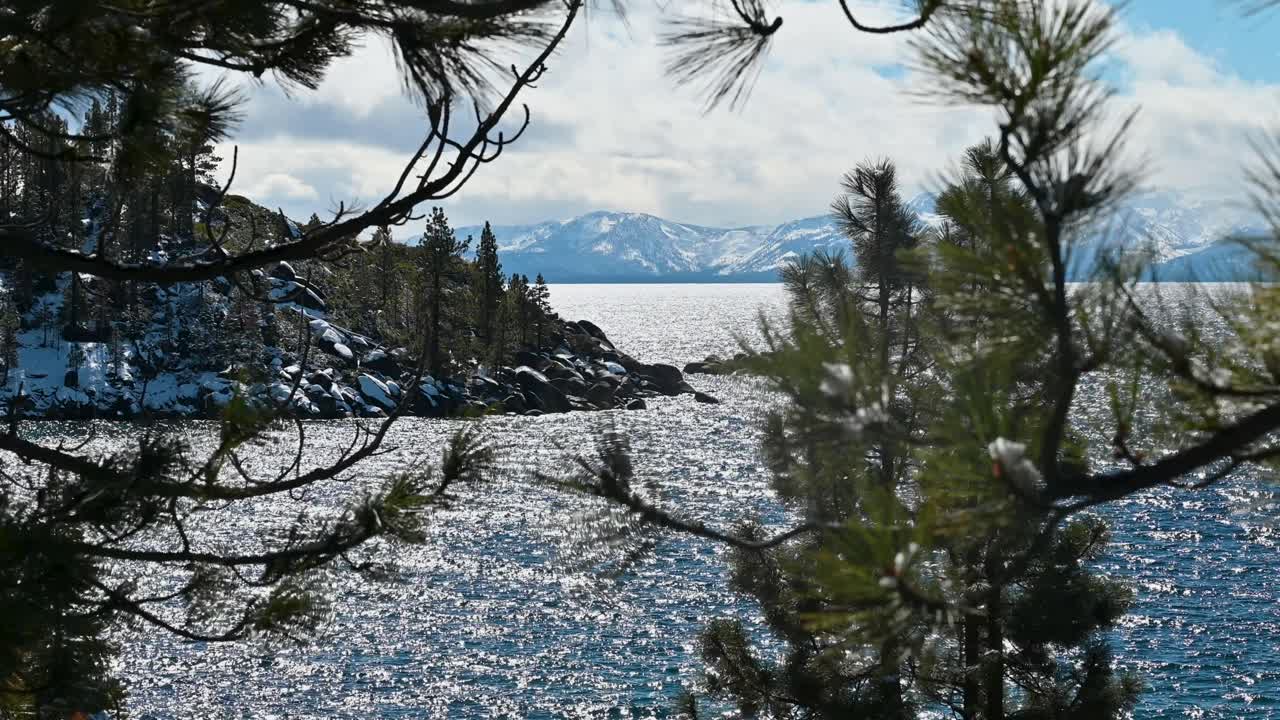 Lake Tahoe sparkling alpine lake framed by pine branches with snowy mountains in the distance on a sunny day
