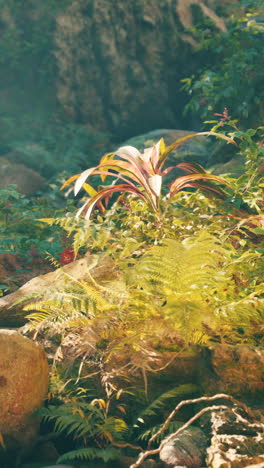 close-up of fern and lush vegetation in a tropical forest