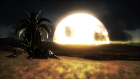 puesta de sol en las dunas de arena