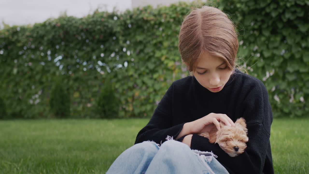 그녀의 팔에 강아지와 함께 공원에서 앉아있는 귀여운 작은 소녀