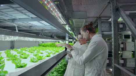 a group of scientists using modern technology to monitor the growth of healthy vegetables on an automated vertical farm with hydroponics system. to analyze the growth of plants by studying the composition and contributing data to the shared