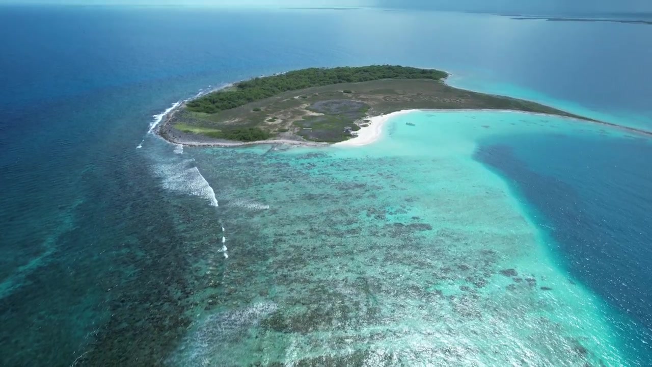 熱帯の太陽光の下、透き通った海水とサンゴ礁が出会う鮮やかな空撮。