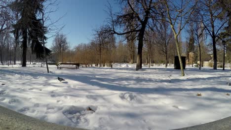 retiro park in madrid covered in snow