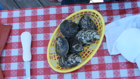 shot of oysters at an oyster eating contest