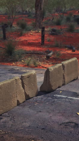 concrete blocks blocking a road in the australian outback