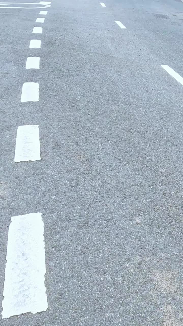 울창한 초록색과 은 하늘을 가진 휘어지는 길을 따라 경치 좋은 드라이브, 조용한 여행의 본질을 포착