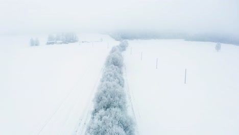 Vista-Aérea-De-Mal-Humor-Y-Niebla-Sobre-La-Zanja-Con-árboles-Tupidos,-Paisaje-Invernal