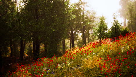 beautiful view of idyllic alpine mountain scenery with blooming meadows