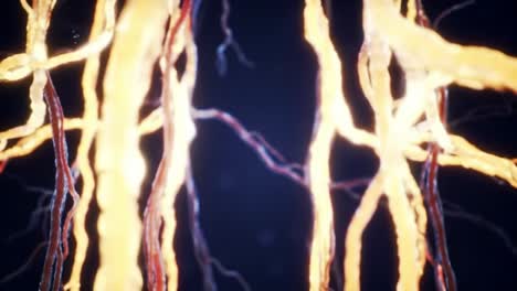 captivating macro view of an intricate neural network with vivid coloration and vibrant animation, showcasing the beauty of interconnected nerve fibers in dynamic motion