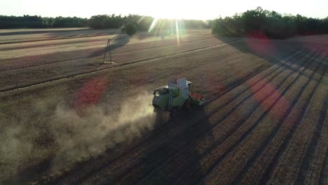 vista aérea de la puesta de sol de la máquina tractora de cosecha que trabaja en el campo agrícola lupino durante las épicas horas doradas de luz