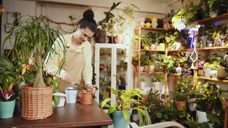 mujer repotando plantas en una tienda de flores