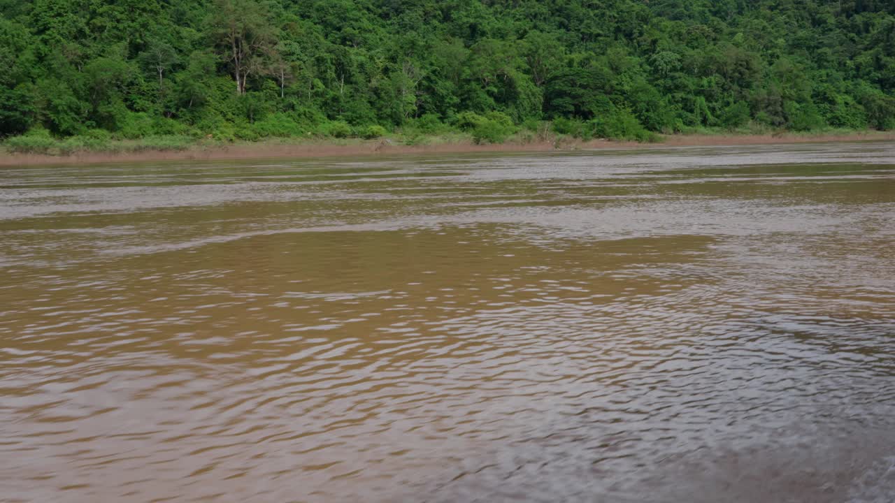 corriente de agua en el mekong con bosque tropical exuberante en el fondo