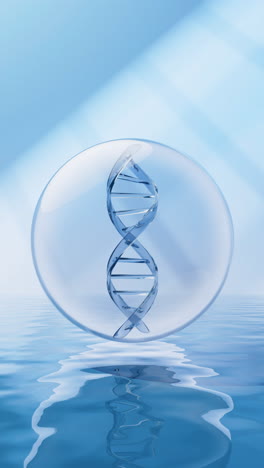 dna with water surface background, 3d rendering.