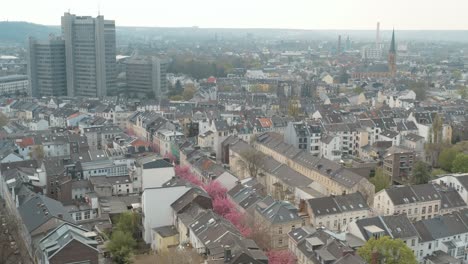 無人機 - 無人機空中全景拍攝的kirschbluete<unk>花在heerstraße heerstreet breitestraße與市政廳stadthaus bonn 25p