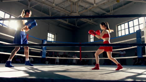 women's boxing match in a boxing ring
