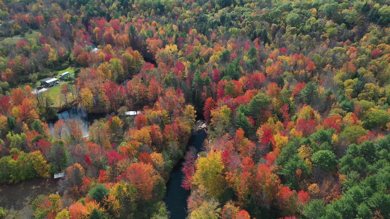 vista aérea del vívido paisaje otoñal, colorido bosque exuberante, arroyo y casas