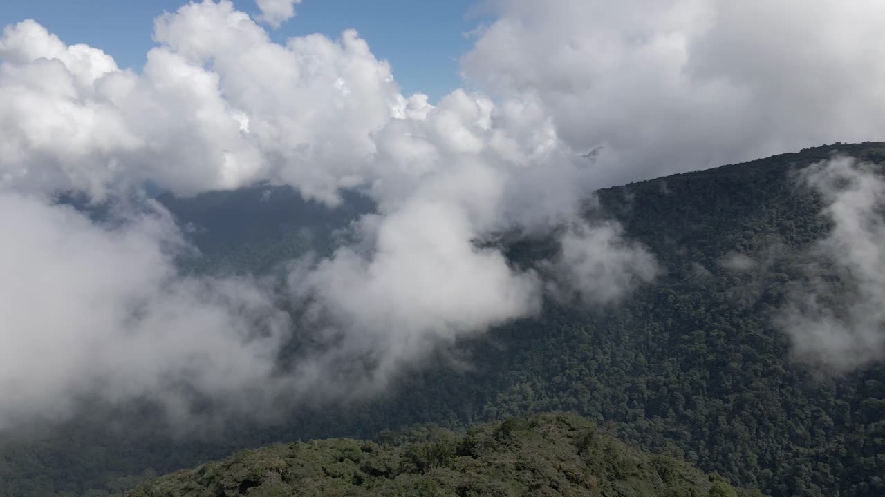 panorámica: nubes bajas paisaje de montaña de la selva tropical bajo el cielo azul