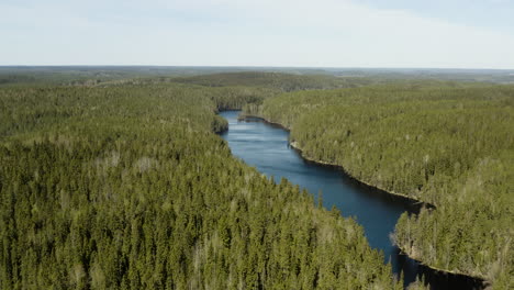 aerial view of lake iso helvetinjarvi, on a bright, sunny day, in helvetinjarven kansallispuisto, ruovesi, pirkanmaa, finland - establishing, drone shot