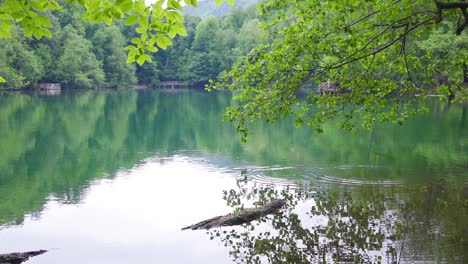 Paisaje.-Lago-Y-árboles.