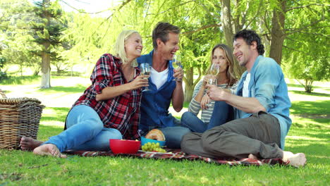 friends having a picnic