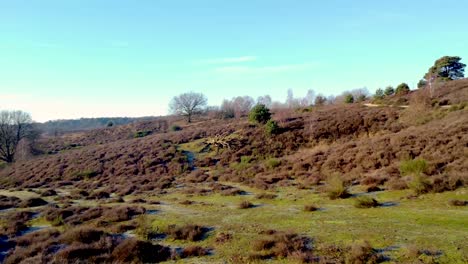 Erstaunliche-Luftdrohnenaufnahme-Des-Naturnationalparks