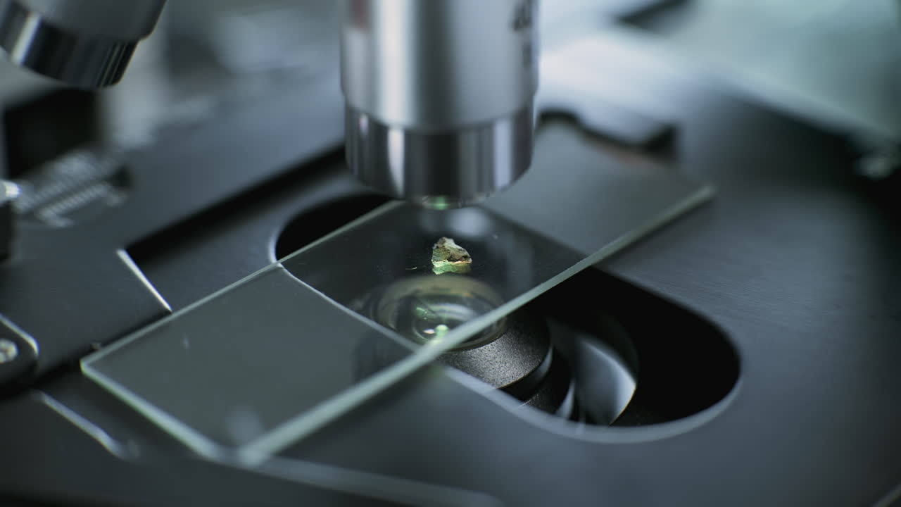 Microscope slide examination