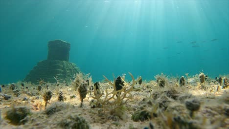 Versunkene-Pyramide-In-Cozumel,-Die-Von-Einigen-Fischen-Besucht-Wird