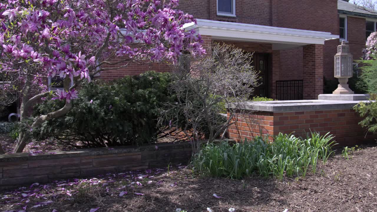 Cowles House during spring on the campus of Michigan State University in East Lansing, Michigan with gimbal video moving sideways.