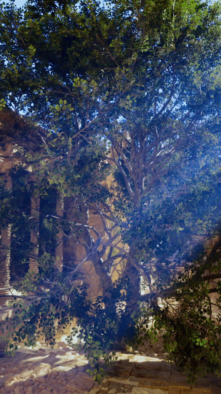 Ancient ruins reveal a majestic tree thriving in sunlight