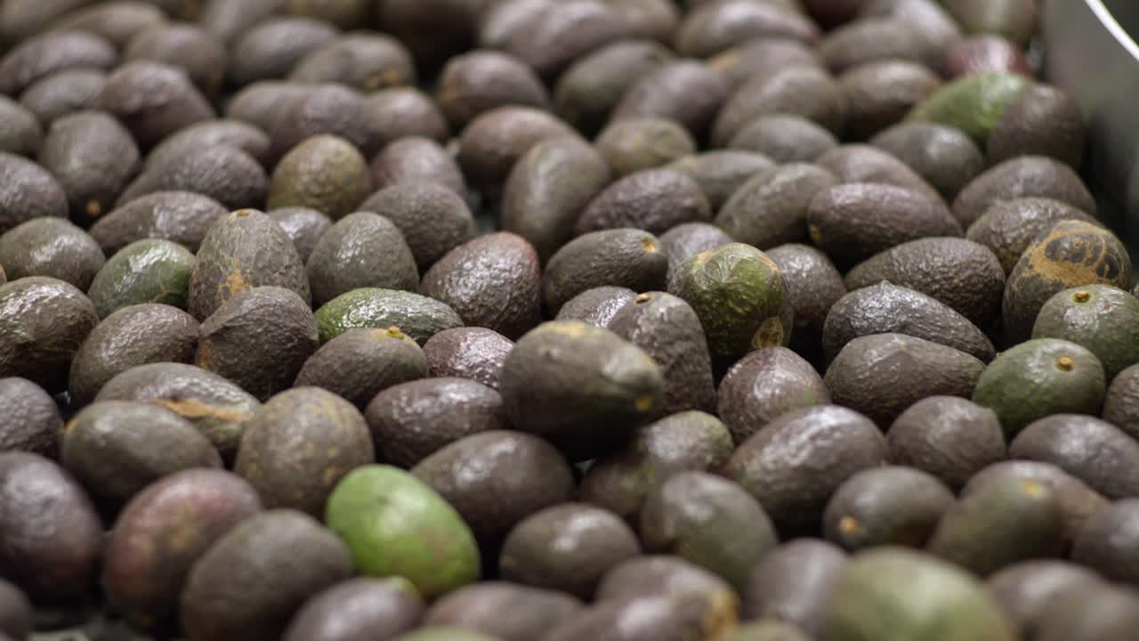 우라판 에 있는 아보카도 포장소 에서 컨베이어 벨트 에 있는 아오카도 의 추적 사진