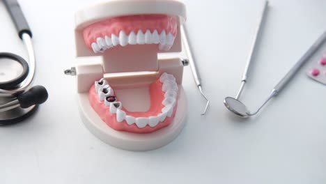 dental model and tools