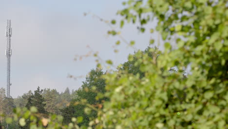 slow pan reveal shot of tall 5g mobile phone mast from behind tree foliage