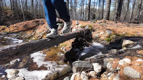 a person skillfully stands on a fallen tree trunk in a dense woodland setting