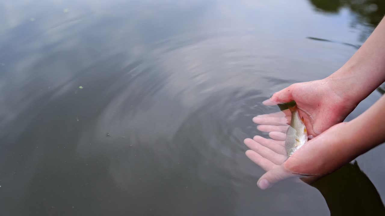 Hand holding small fish. Woman hand holding small fish outdoors on sea background