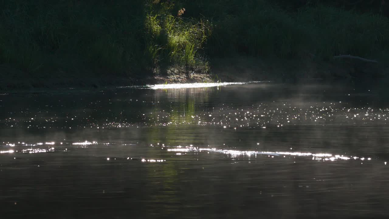 Aerial view just above the river water, where a little mist rises due to the heating of the morning sun