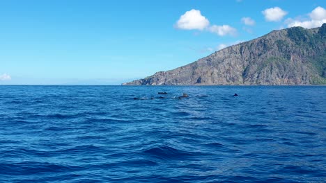 Watching-a-pod-of-pilot-whales-swimming-and-surfacing-expelling-jets-of-spray-near-peninsula-of-tropical-Atauro-Island-in-Timor-Leste,-Southeast-Asia