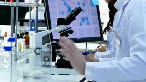 científicos o químicos que utilizan microscopios y otras tecnologías. científicos en equipo trabajando juntos en un laboratorio. resolución de 4k.