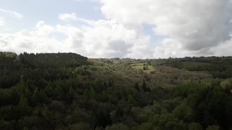 Imágenes-Aéreas-De-Drones-Que-Ascienden-Para-Revelar-Un-Denso-Bosque-Verde-Con-Nubes-Blancas-Esponjosas-En-El-Cielo