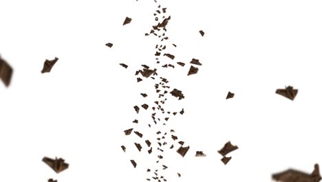 volando muchas piezas de chocolate en fondo negro. alimentos y dulces. leche y oscuro. animación de bucle 3d de chocolate girando.