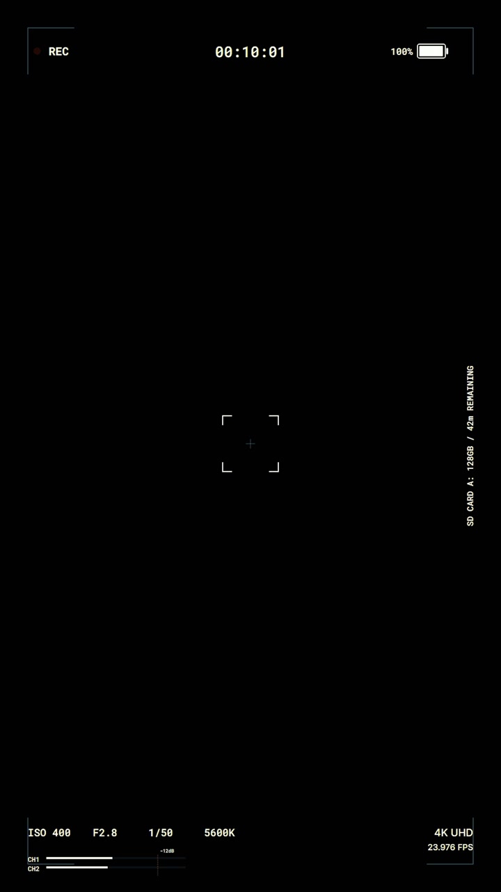 Digital Camera Recording Interface Overlay