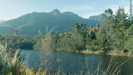 Landscape,-lake-and-nature-in-summer