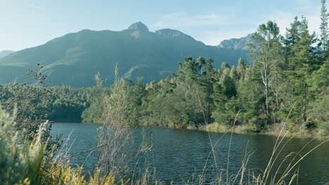 landscape, lake and nature in summer