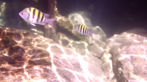 parque de snorkel 00