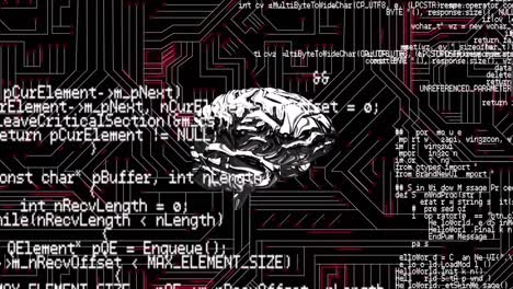 brain and a digital circuit with program codes